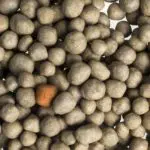 Nutramon korrels