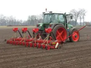 vroeg zaaien risico's