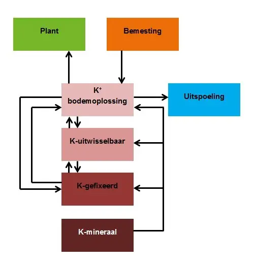 opslag_beschikbaarheid_kalium.jpg