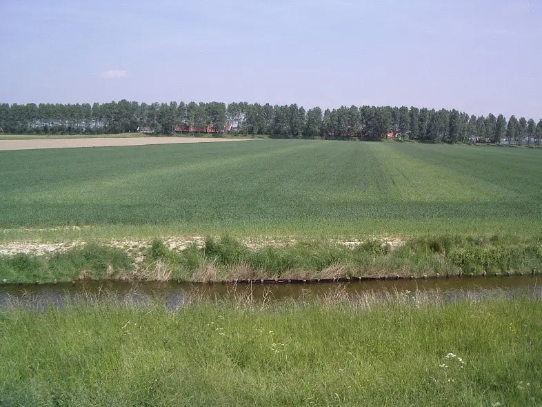 strooibanen_gras.jpg