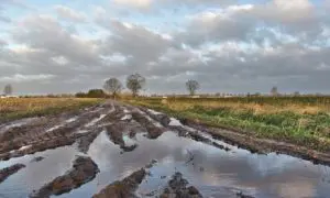 Waterafvoer zoutophoping