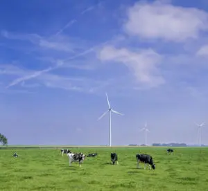 fosfaatverrekening aanmelden