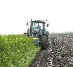 groenbemestingsnorm zand lössgronden