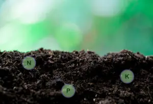 The big three: Nitrogen, phosphorus, potassium | Fosfaatverrekening 2025