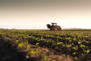 fertilisation betteraves composantes