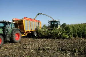 Herfstkansen voor gras en maïs