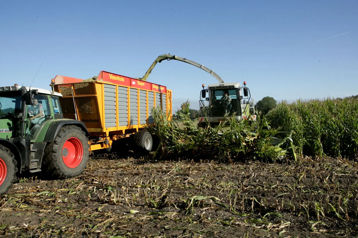 Herfstkansen voor gras en maïs