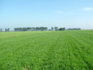 bemestingsbalans opmaken | grasaandeel bouwplan