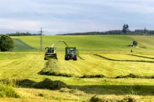 Herbst Landwirtschaft | Winterklaar graspercelen