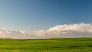 prepare grassland for optimal producitivity in 2025 | droogte voorjaar meststoffen