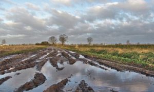 Landbouwtips bij nat weer en blauwtongrisico | Afsluiting 2023 agrarische zaken | Watermanagement Seizoen 2023-2024