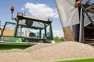 Überdüngung von Winterweizen und Kartoffeln